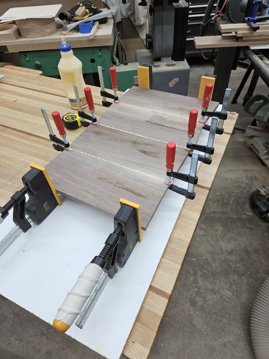 walnut glueup.jpg