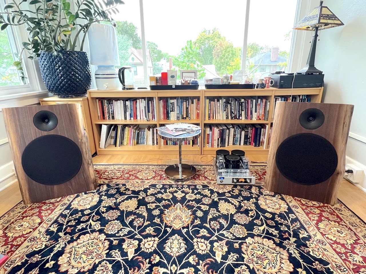 walnut_dipoles_in_room.jpeg