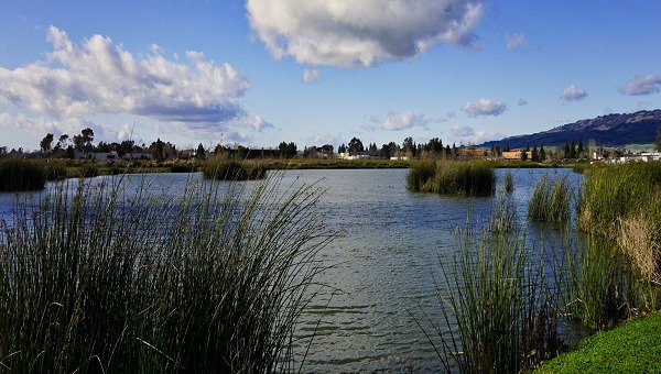 waterfront-scene-900x510-1.jpg