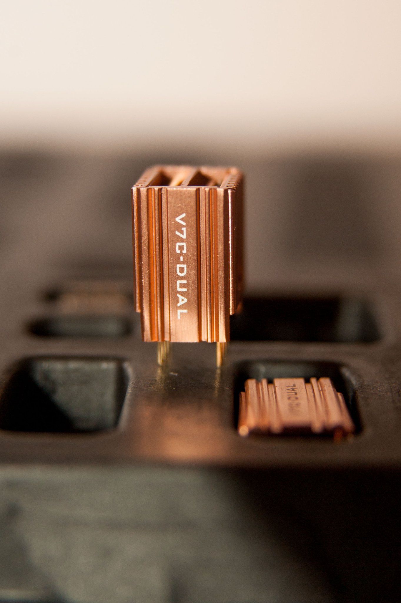 Whammy-3202.JPG