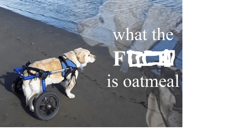 WhatTheF-IsOatmeal.png