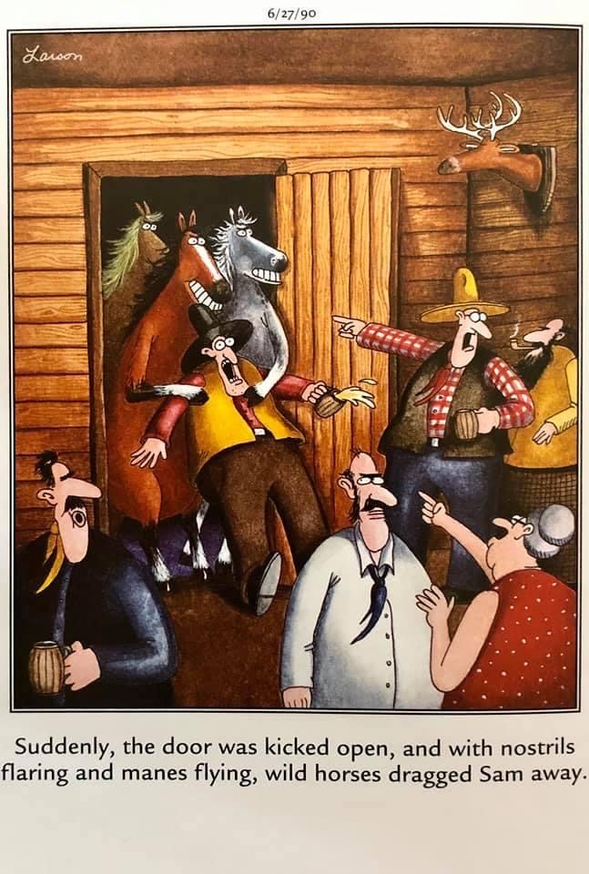 Wild Horses.JPG