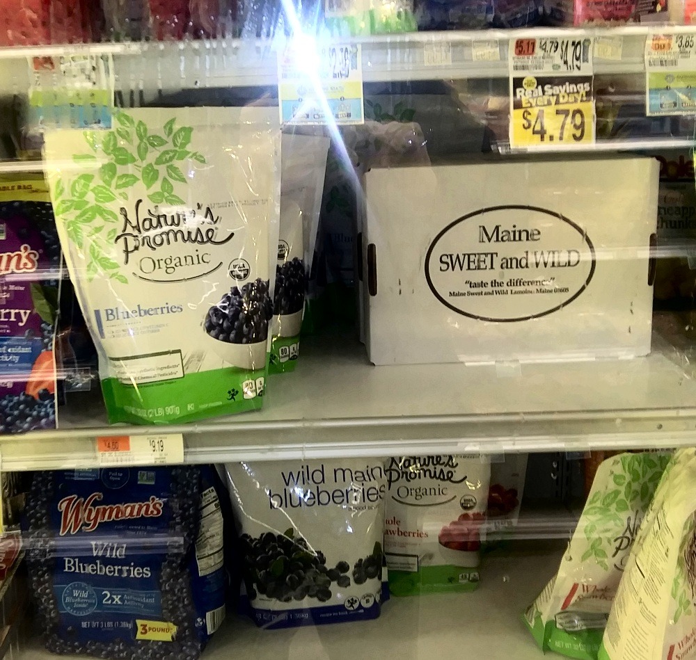 WildMaineBlueBerries-2022.jpg
