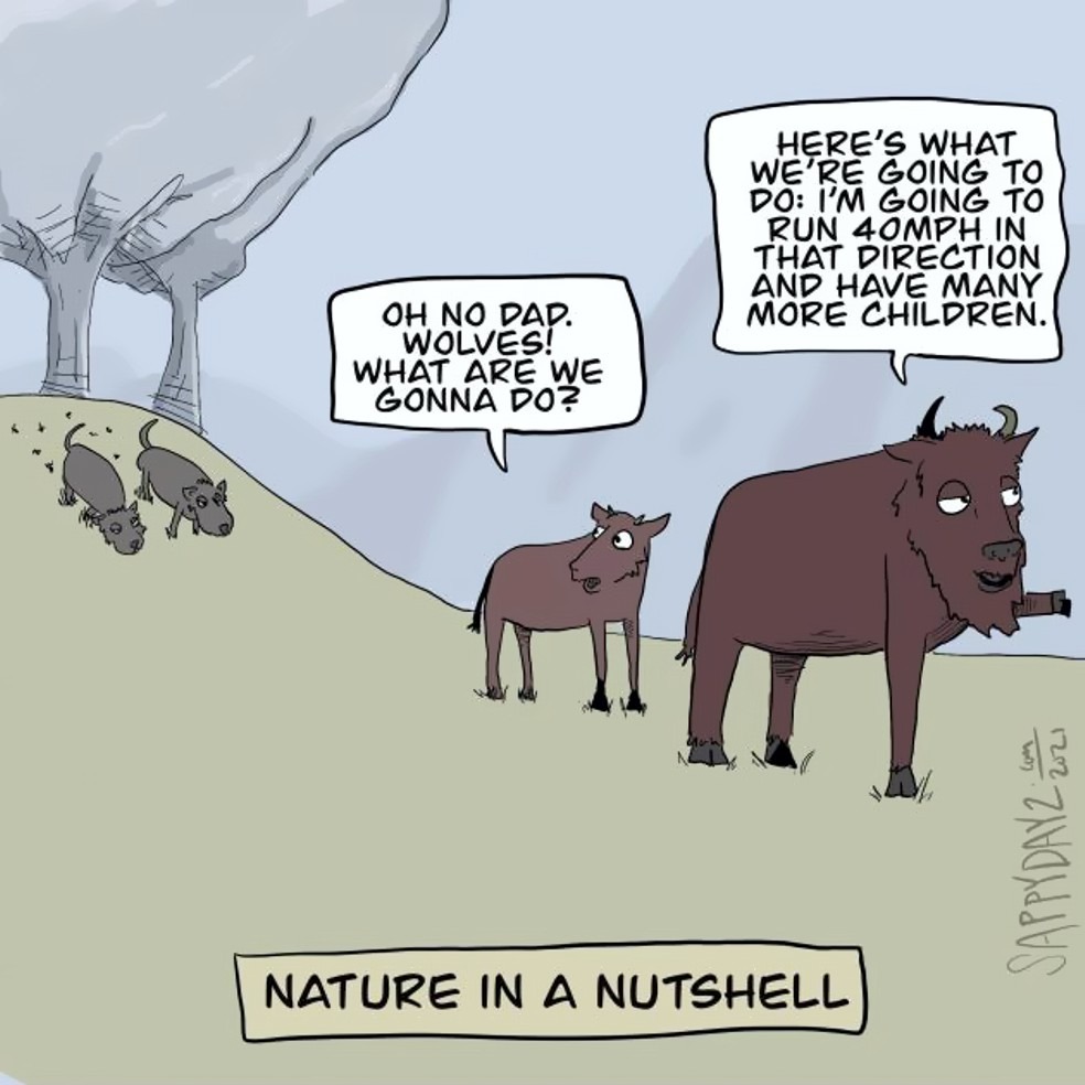 Wolves.jpg
