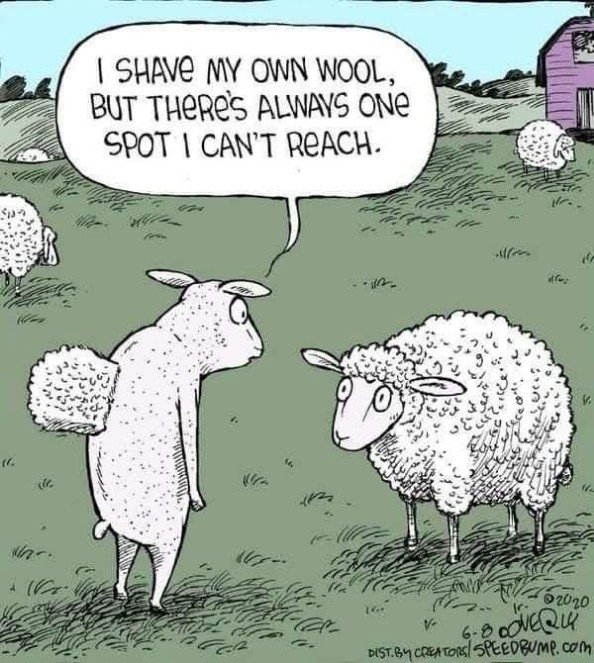 wool.jpg