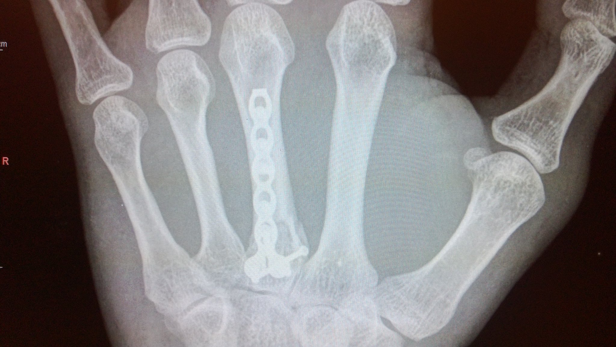 WP_20130415_004.jpg