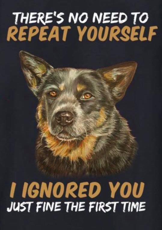 xxdog_ignore.jpg