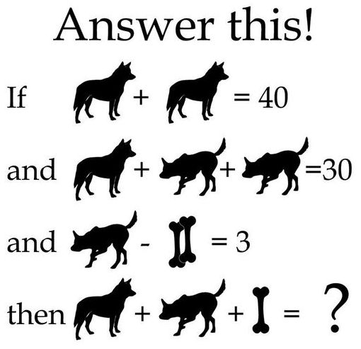 xxdog_maths.jpg