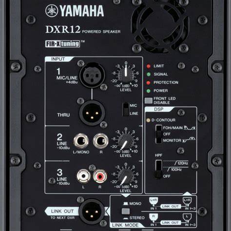 Yamaha dxr rear panel.jpg