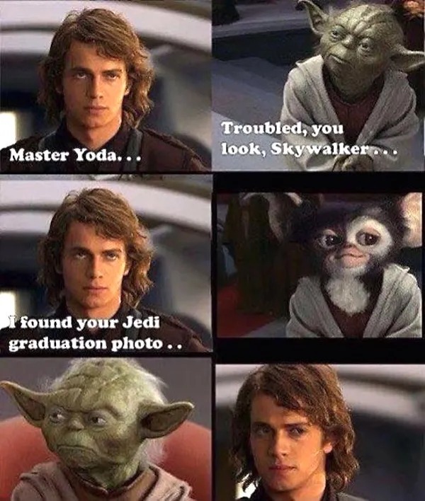 YodaGraduationPhoto.jpg