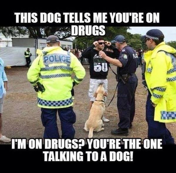 YouAreTheOneTlkingToTheDog!.jpeg