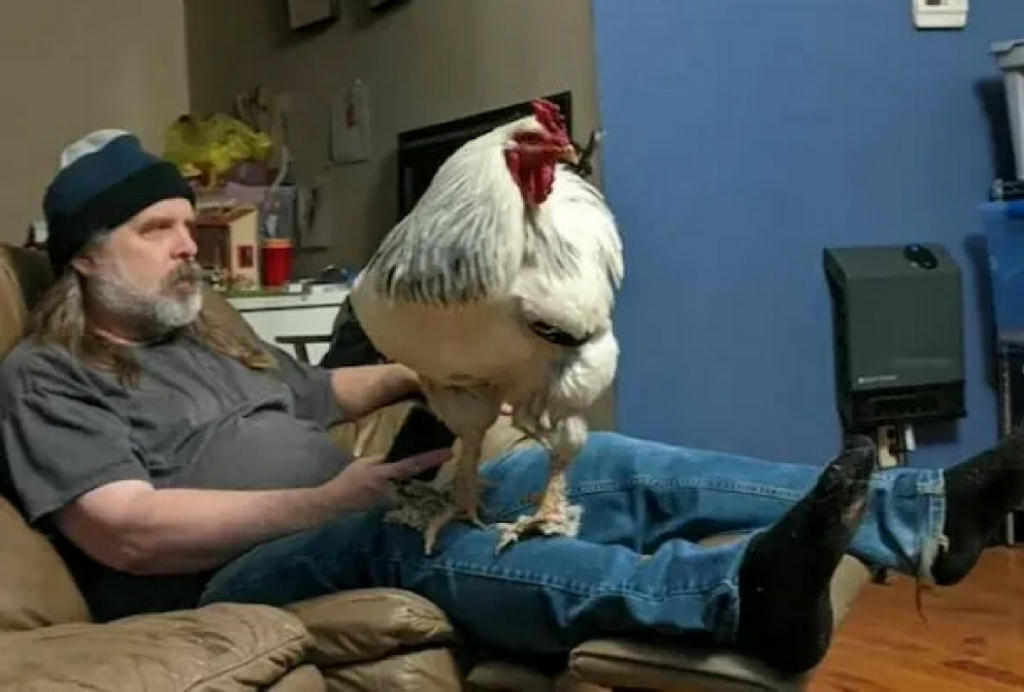 YouNeedA-BiggerCockHeWasTold.jpg