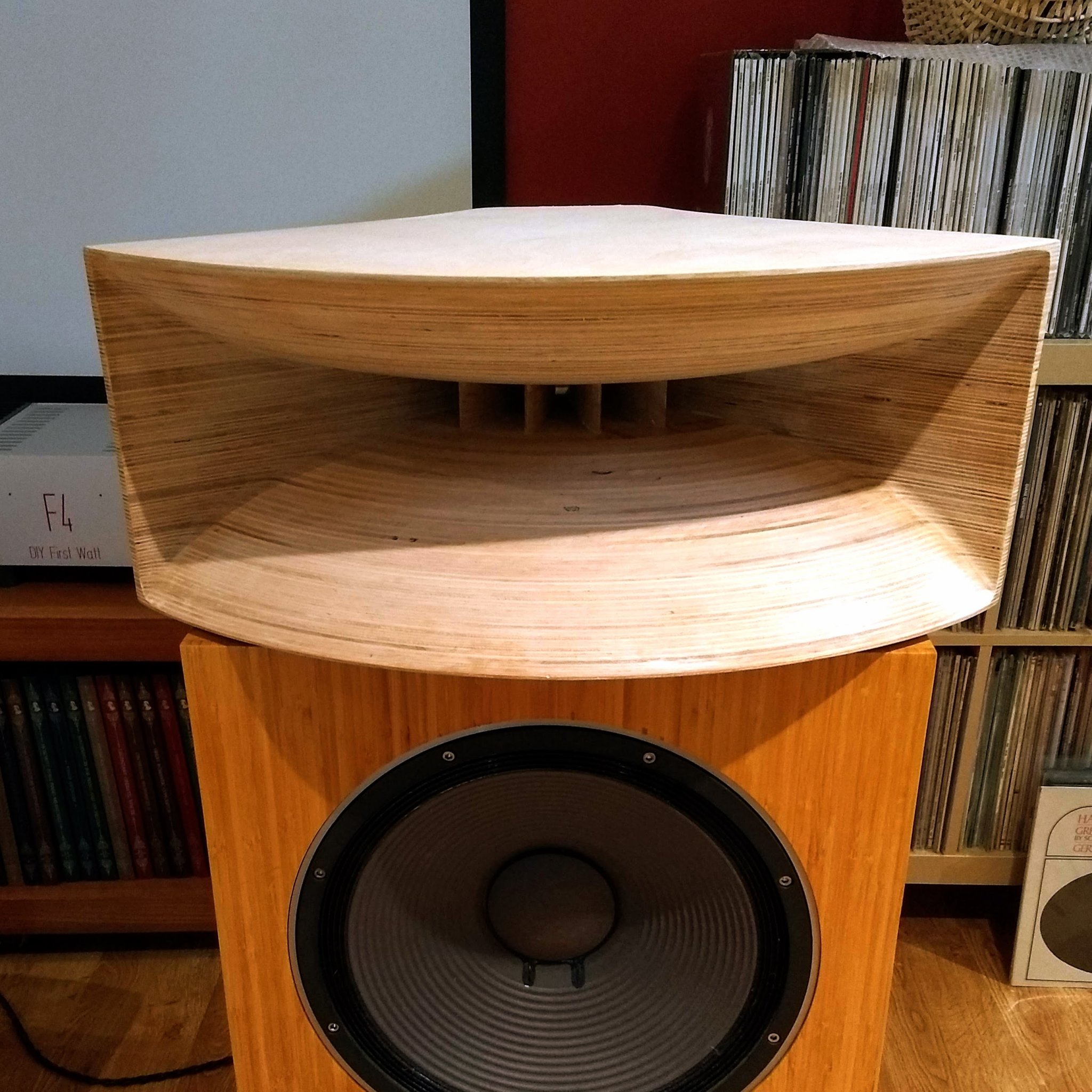 Yuichi290.jpg
