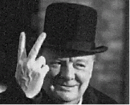 image3.gif