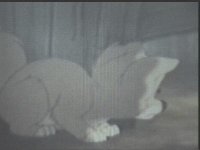 npict9.jpg