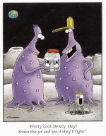 farside1.jpg