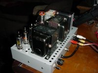 newamp 002.jpg