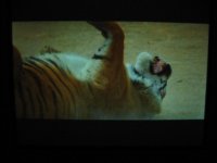 102-0257_img.jpg