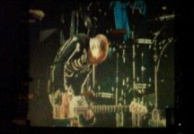 flea1.jpg
