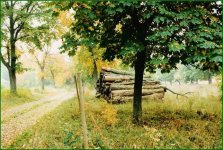 sweden_autumn.jpg
