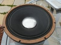 1972-goodmans-100watt-12-guitar_360_cfa78d1d8d9e2b17708fde8d233c7606 (2).jpg