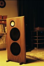 SFR 145A+300 OB Stefan.jpg