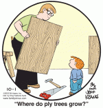 ply-wood.gif ply-wood.gif