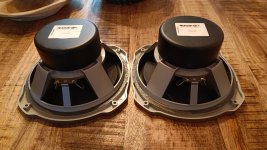 IMG_20221016_171628.jpg