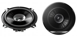 Pioneer TS-G1310F.jpg