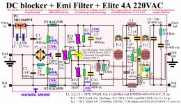 Emi Filter Plus Elite & DC blocker.jpg