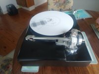 IMG_20211018_134524922.jpg