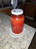 IMG_0452.jpeg