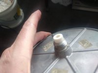 IMG_20221011_152702632.jpg