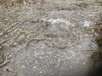 IMG_0441.jpeg