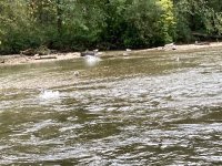 IMG_0444.jpeg