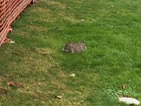 IMG_0432.jpeg