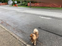IMG_0436.jpeg