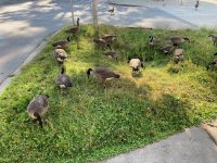 IMG_0388.jpeg