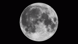 The Rotating Moon.gif