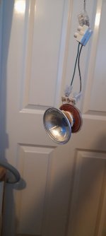 20221104_121243.jpg