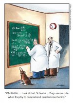 Canine Mechanics.JPG