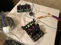 WayneLS-01.jpg