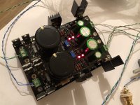 WayneLS-03.jpg