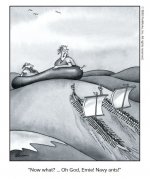 Navy Ants.JPG