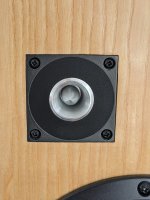 PXL_20220911_124847731.jpg