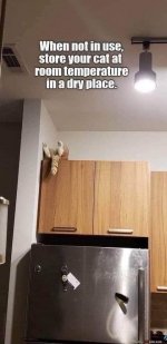 Cat Storage.JPG