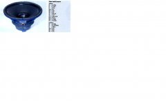 tsp paudio.jpg