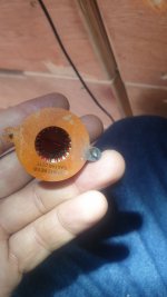 20221125_130613.jpg