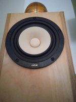 Frugal Horn Mk3s + Markaudio CHP Mica.jpg