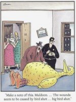 Big Bird.JPG